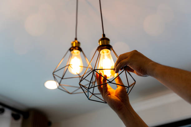 Best Electric Panel Repair  in Lady Lake, FL