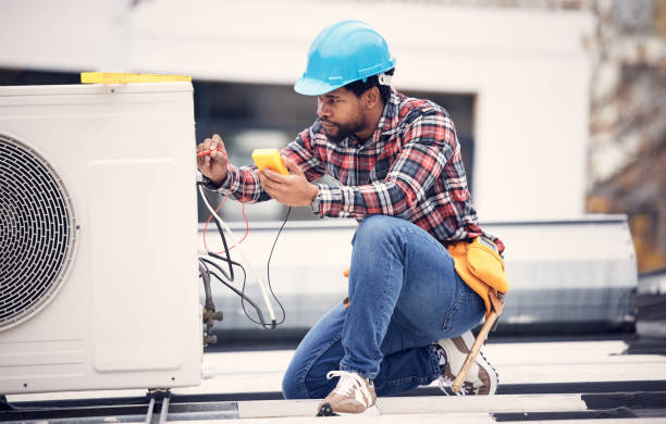Best Local Electrician Companies  in Lady Lake, FL